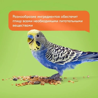 Rio 20кг корм для волнистых попугайчиков основной рацион фото