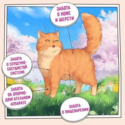 ZILLII (Зилли) Cat Adult Indoor 10кг индейка и ягненок сухой для домашних кошек (350662) фото