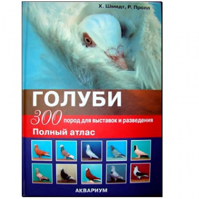 9785993400976.jpg