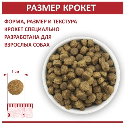 Родные корма 2,045кг (5 фунтов) с говядиной сухой корм для собак мелких пород (538274) фото