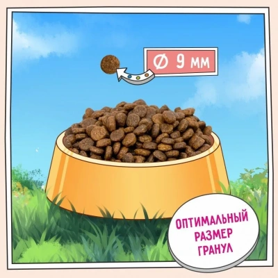 ZILLII (Зилли) Cat Hairball Control 0,4кг индейка и утка сухой для кошек, против комочков шерсти в желудке (352246) фото