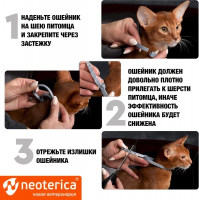 Ошейник (Rolf Club) 3D (8мес), 40см от блох, клещей, комаров для котят (серый) (ЛИЦЕНЗИЯ) фото
