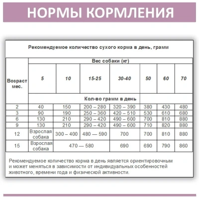 Родные корма 2,045кг (5 фунтов) индейка сухой корм для собак мелких пород (537871) фото