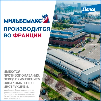 Мильбемакс (Elanco) 2таб. антигельминтик для собак более 5кг, 1таб./5-25кг (ЛИЦЕНЗИЯ) фото