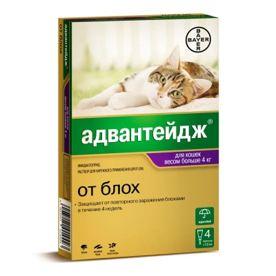 Адвантейдж 80 капли (4пип х 0,8мл) против паразитов для кошек более 4кг (ЛИЦЕНЗИЯ) фото