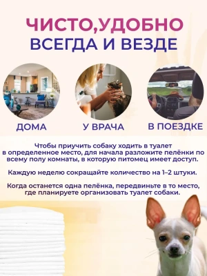 Пеленки (Hakase Arekkusu) Коврики для животных 33*45,12шт/уп фото