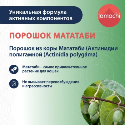 Порошок (Tamachi) Мататаби для приучения к предмету для кошек 8г фото