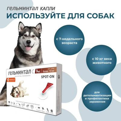 Гельминтал С Spot-on капли (1пип) на холку от блох, клещей и глистов для собак более 10кг (ЛИЦЕНЗИЯ) фото