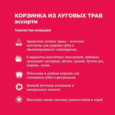 Little One 0,065кг Лакомство Корзинка из луговых трав ассорти для всех видов грызунов и кроликов.  фото