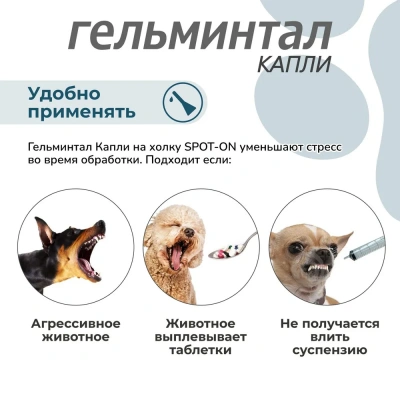 Гельминтал С Spot-on капли (1пип) на холку от блох, клещей и глистов для собак более 10кг (ЛИЦЕНЗИЯ) фото