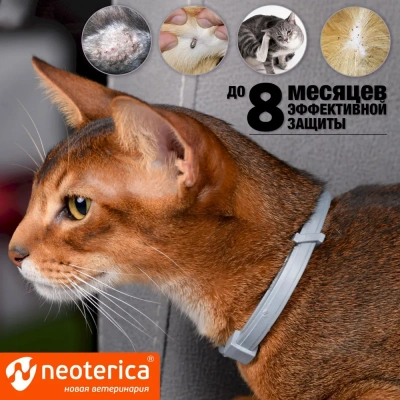 Ошейник (Rolf Club) 3D (8мес), 40см от блох, клещей, комаров для котят (серый) (ЛИЦЕНЗИЯ) фото