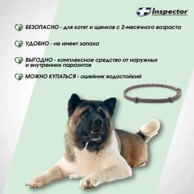 Ошейник (Inspector) (4 мес), 65см от блох, клещей и глистов для средних собак (ЛИЦЕНЗИЯ) фото