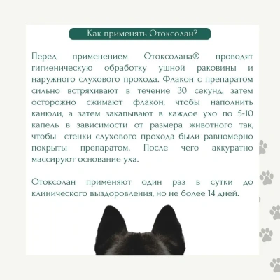 Отоксолан (KRKA) капли для лечения грибкового и бактериального отита у собак, 10мл (ЛИЦЕНЗИЯ) фото