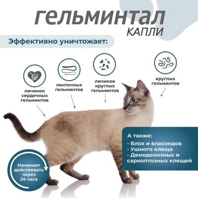 Гельминтал К Spot-on капли (1пип) на холку от блох, клещей и глистов для кошек и котят до 4кг (ЛИЦЕНЗИЯ) фото