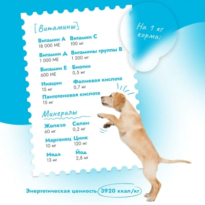 Best Dinner Dog & Puppy Sensible  3кг ягненок с ягодами сухой для собак и щенков с 1 мес фото