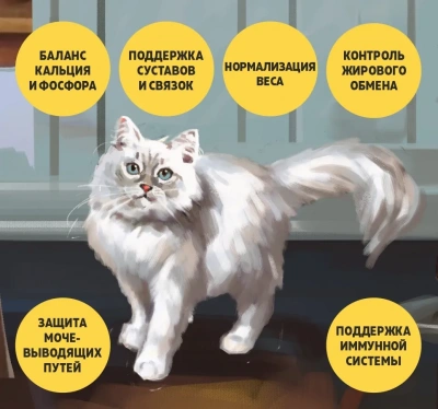 Brooksfield Adult Cat Light Sterilized Beef 2кг говядина/рис для кошек с избыточным весом и стерилизованных (311147) фото